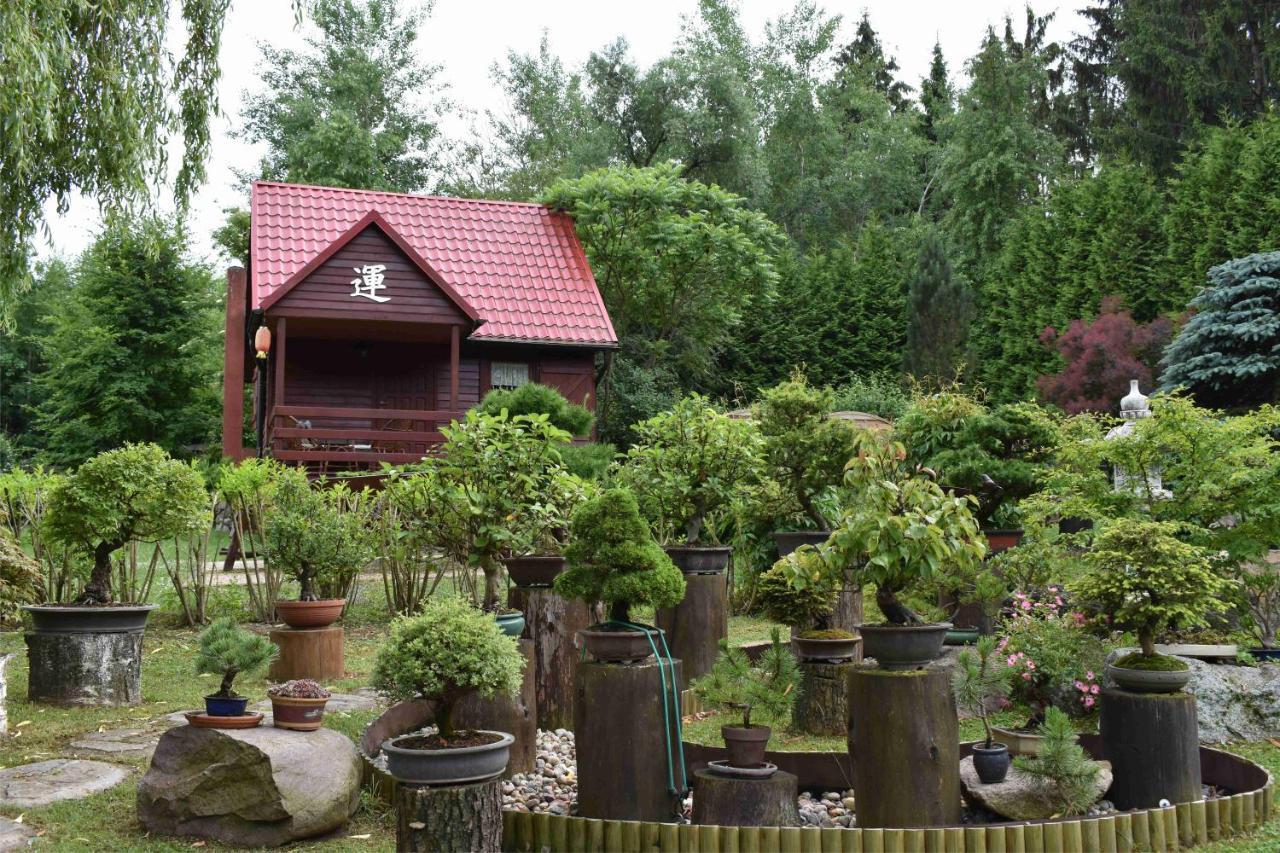Ogrod Shinrin Yoku Odpoczynek W Lesie Villa Srokowo Esterno foto